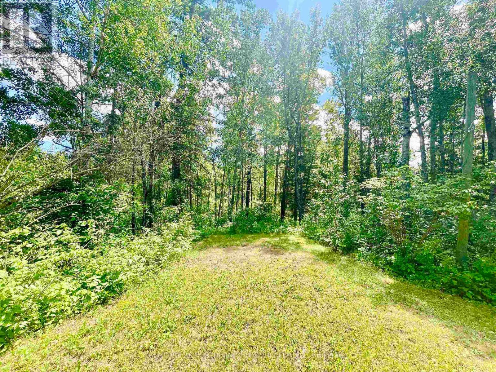 20 Falls Road, Kenora Remote Area, Ontario  P0V 2W0 - Photo 2 - X13549174