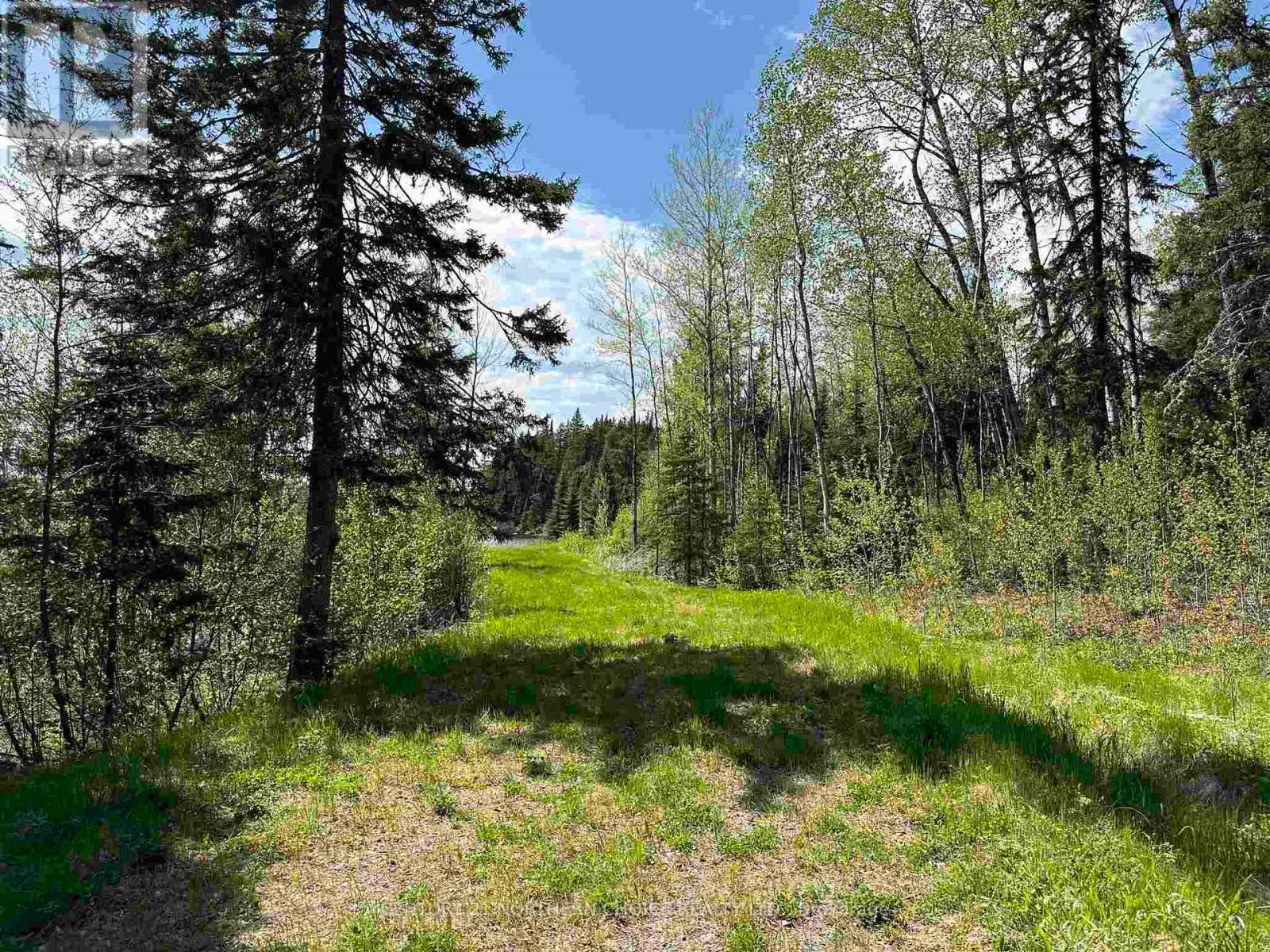 Pt 2 & 4 Snib, Red Lake, Ontario  P0V 2M0 - Photo 2 - X13598192