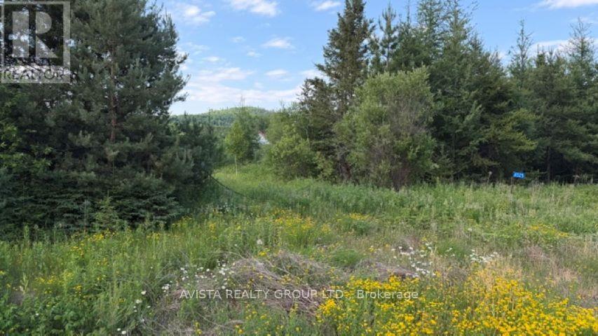 6525 Hwy 61 — photo 1