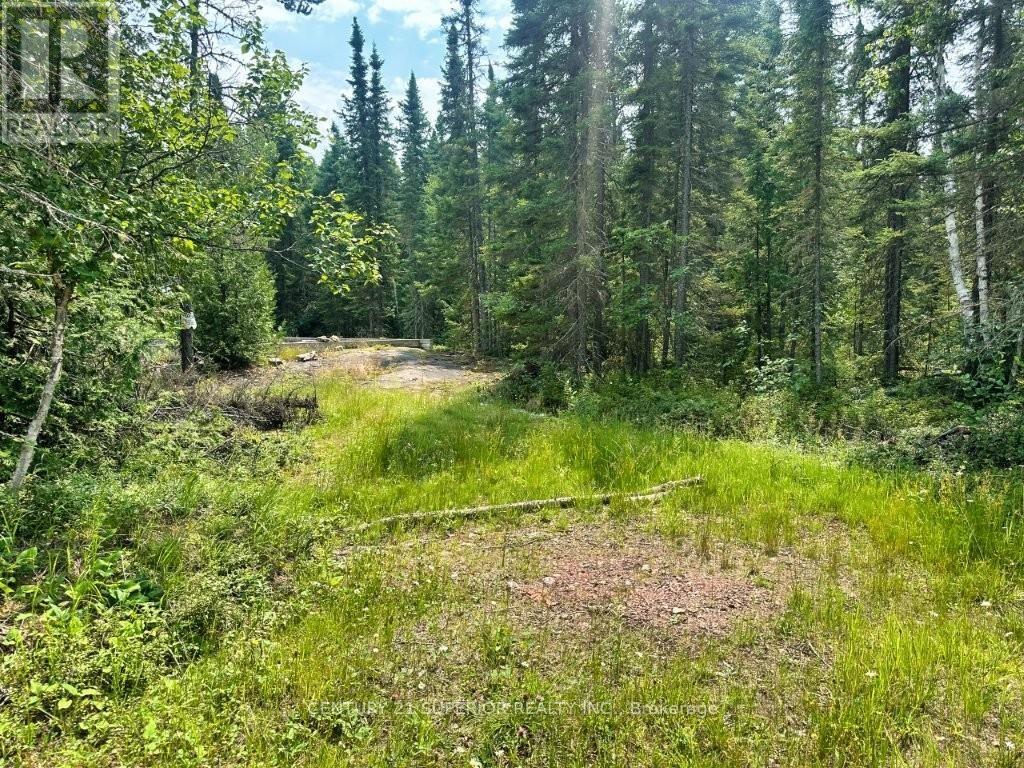 Pcl 9169 Cavern Road, Dorion, Ontario  P0T 1K0 - Photo 21 - X13621474