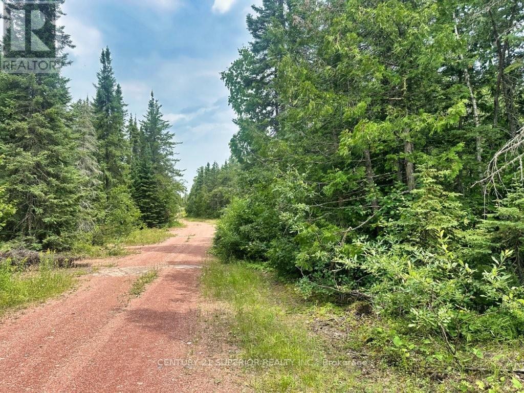Pcl 9169 Cavern Road, Dorion, Ontario  P0T 1K0 - Photo 19 - X13621474