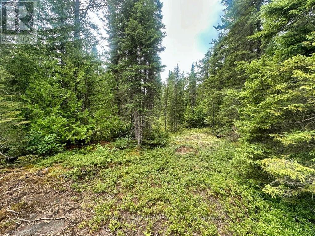 Pcl 9169 Cavern Road, Dorion, Ontario  P0T 1K0 - Photo 25 - X13621474