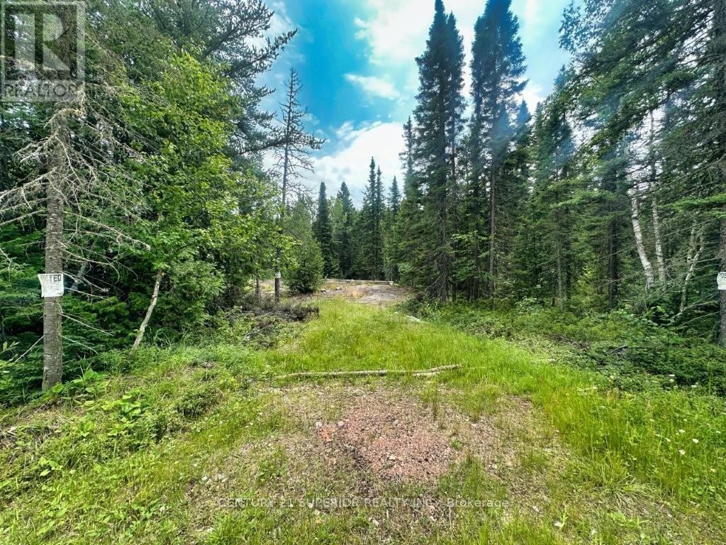 Pcl 9169 Cavern Road, Dorion, Ontario  P0T 1K0 - Photo 23 - X13621474
