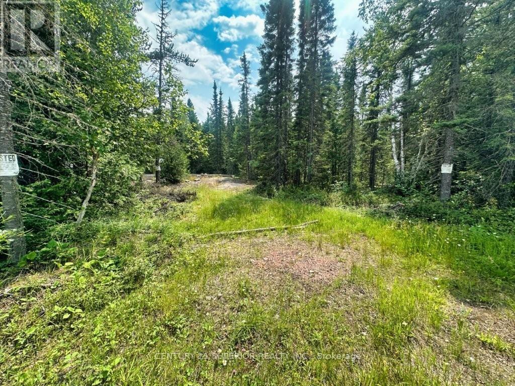Pcl 9169 Cavern Road, Dorion, Ontario  P0T 1K0 - Photo 22 - X13621474