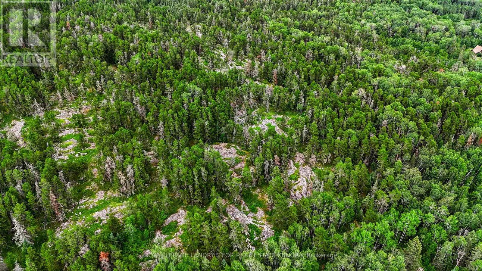 3188 Highway 596, Kenora Remote Area, Ontario  P0X 1C0 - Photo 25 - X13627712