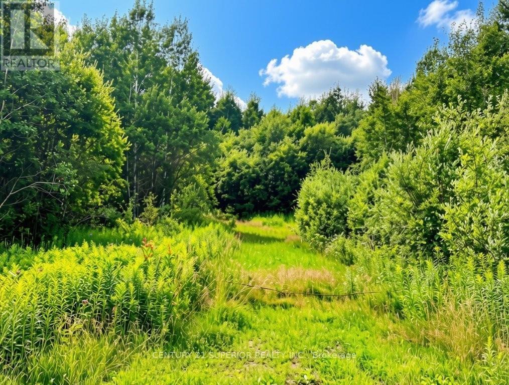 161 Valley Road, Dorion, Ontario  P0T 1K0 - Photo 16 - X13626422