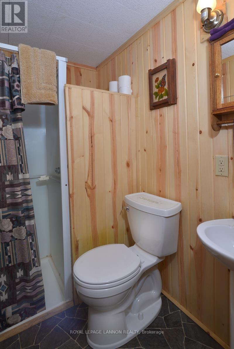 5209 Fishery Rd, Rainy River Remote Area, Ontario  P0W 1L0 - Photo 24 - X13641320