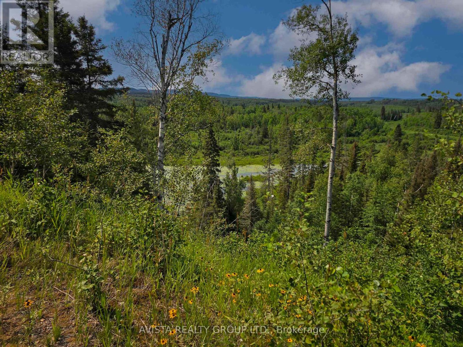 2422 Broadway Ave, Thunder Bay, Ontario  P7K 1K7 - Photo 48 - X13636760