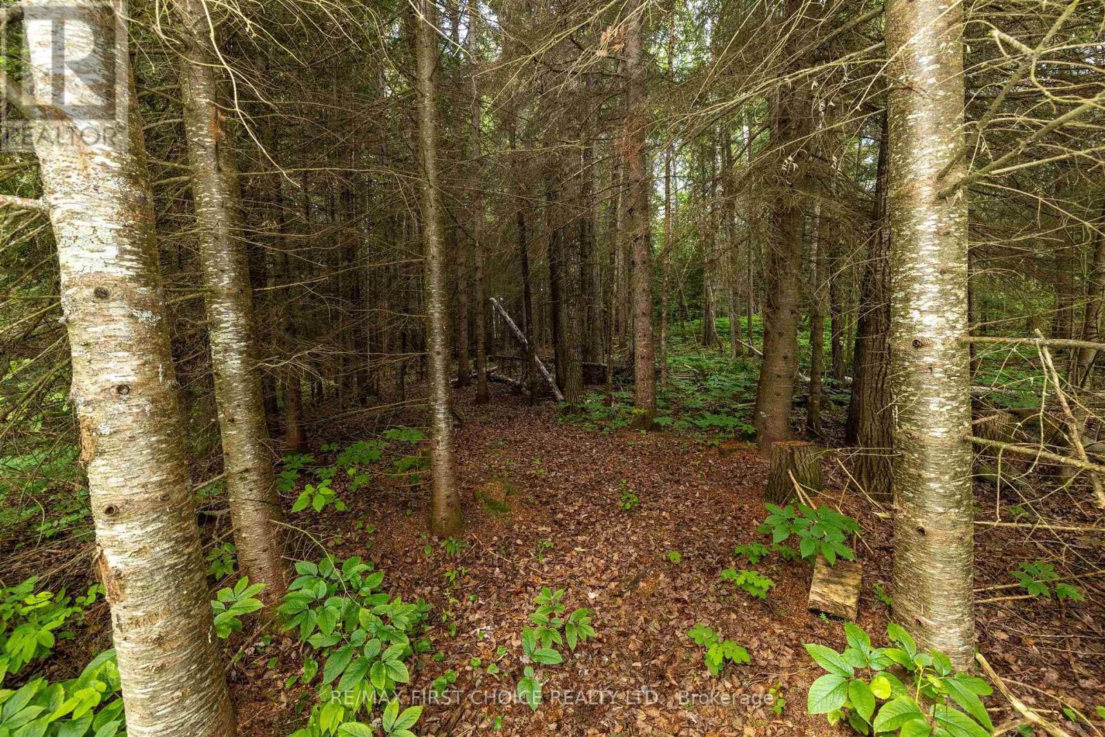 200 Captain Road, Thunder Bay Remote Area, Ontario  P0T 1K0 - Photo 49 - X13639132