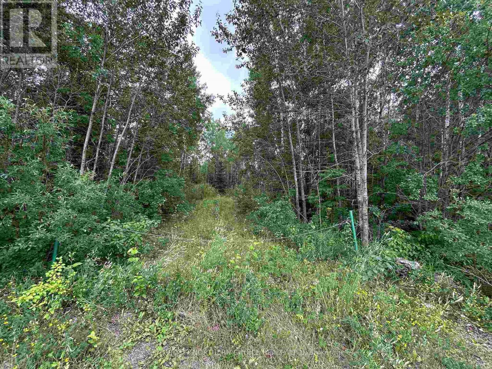 905 FROG CREEK ROAD, Alberton, Ontario