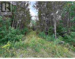 905 FROG CREEK ROAD, Alberton, Ontario