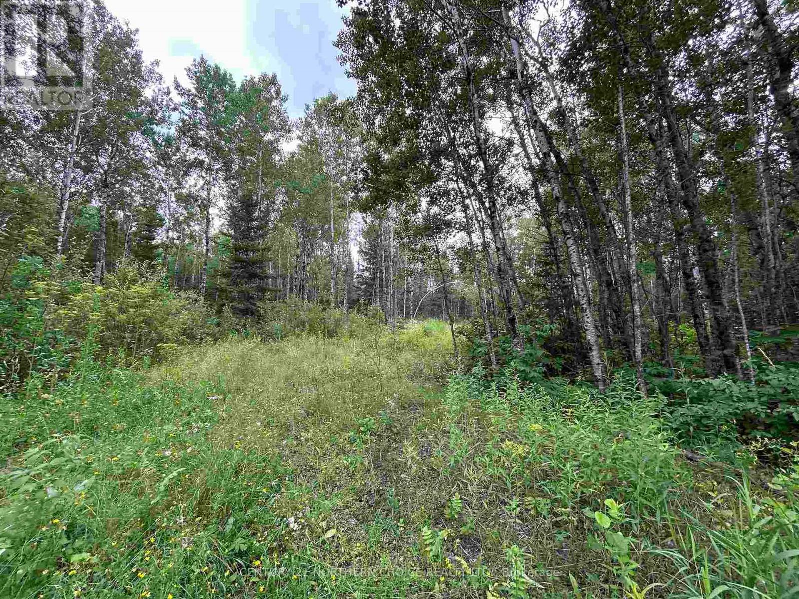 905 Frog Creek Road, Alberton, Ontario  P9A 3M2 - Photo 5 - X13659440