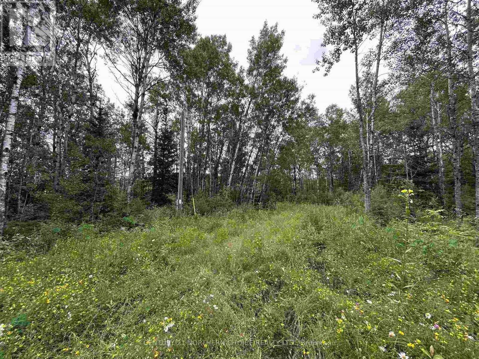 905 Frog Creek Road, Alberton, Ontario  P9A 3M2 - Photo 10 - X13659440