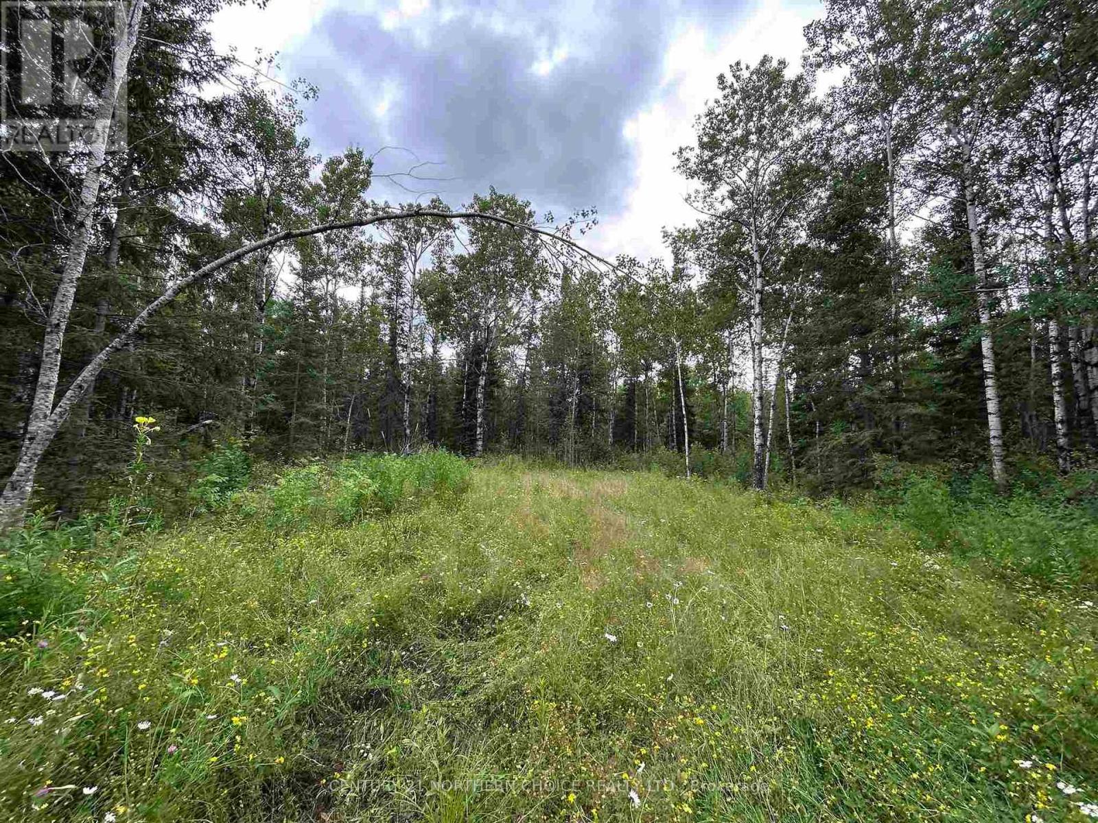 905 Frog Creek Road, Alberton, Ontario  P9A 3M2 - Photo 9 - X13659440