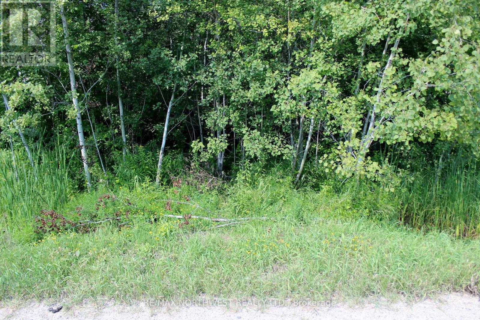 Sec 19 Wilson Creek Rd, Dawson, Ontario  P0W 1L0 - Photo 15 - X13666254