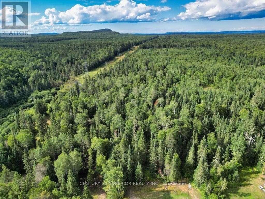358 Hwy 11/17, Nipigon, Ontario  P0T 2J0 - Photo 48 - X13672608
