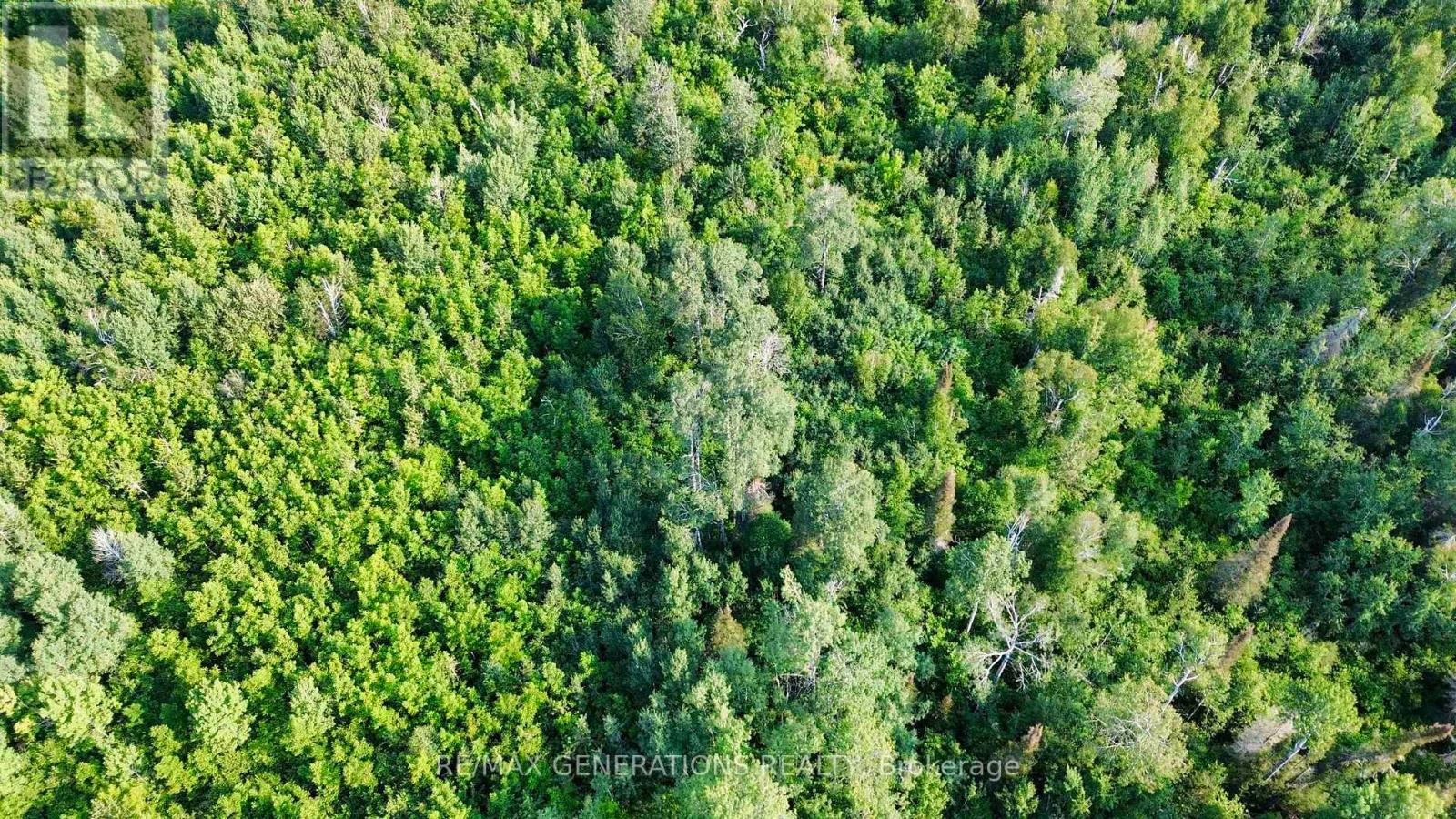 263 Cloud River Road E, Neebing, Ontario  P7L 0A9 - Photo 8 - X13671548