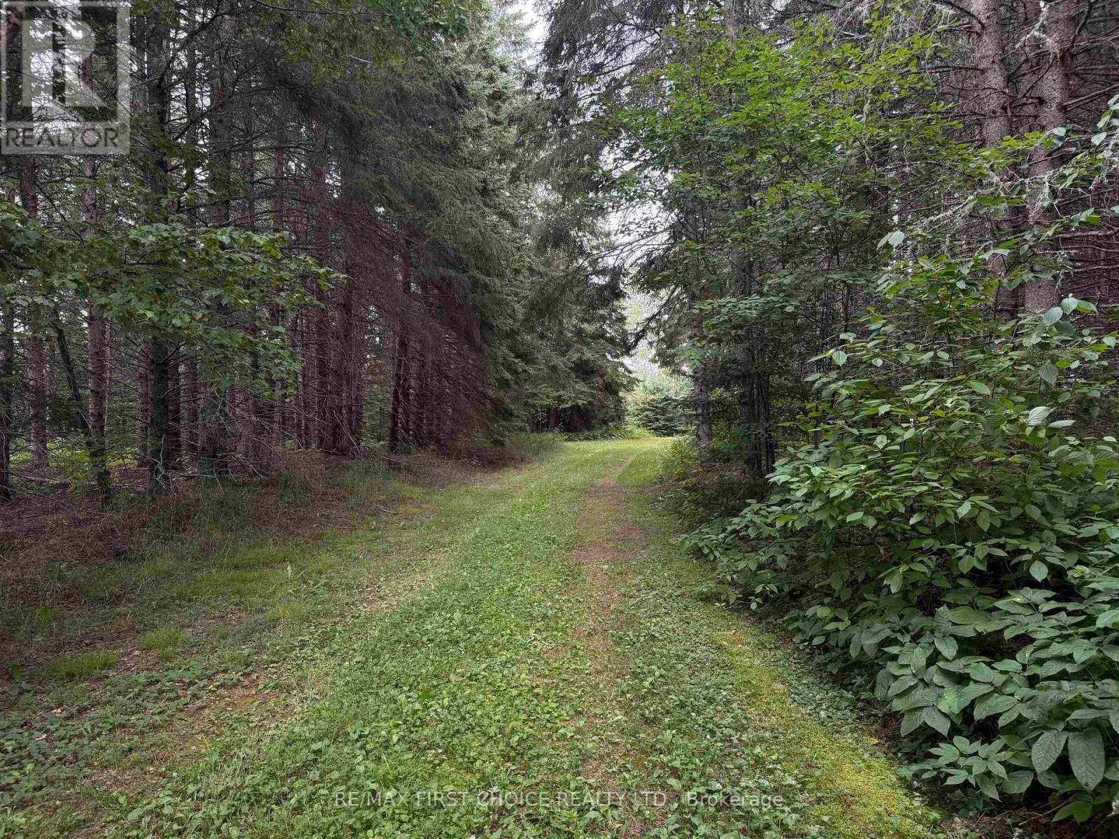 Lt 11 + 12 Con 1 Dorion, Thunder Bay Remote Area, Ontario  P0T 1K0 - Photo 19 - X13700406