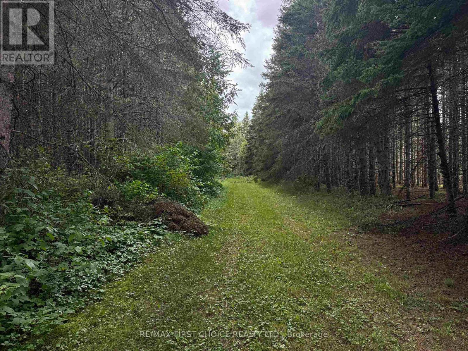 Lt 11 + 12 Con 1 Dorion, Thunder Bay Remote Area, Ontario  P0T 1K0 - Photo 15 - X13700406
