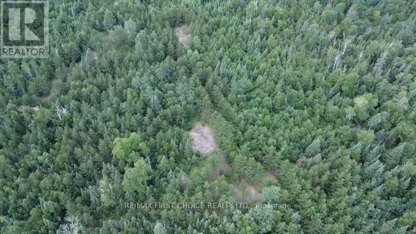 Pcl 6095 Stirling — photo 2
