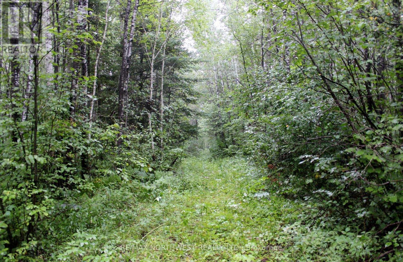 402 Andrews Rd, Morley, Ontario  P0W 1N0 - Photo 37 - X13706684