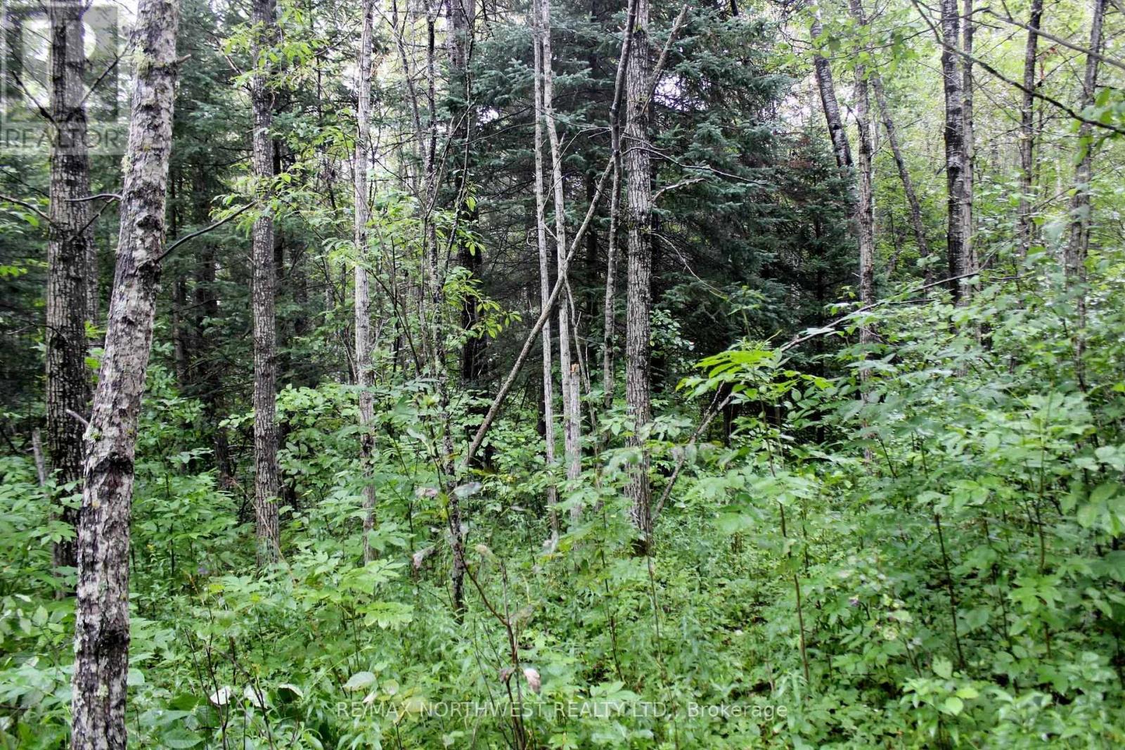 402 Andrews Rd, Morley, Ontario  P0W 1N0 - Photo 26 - X13706684