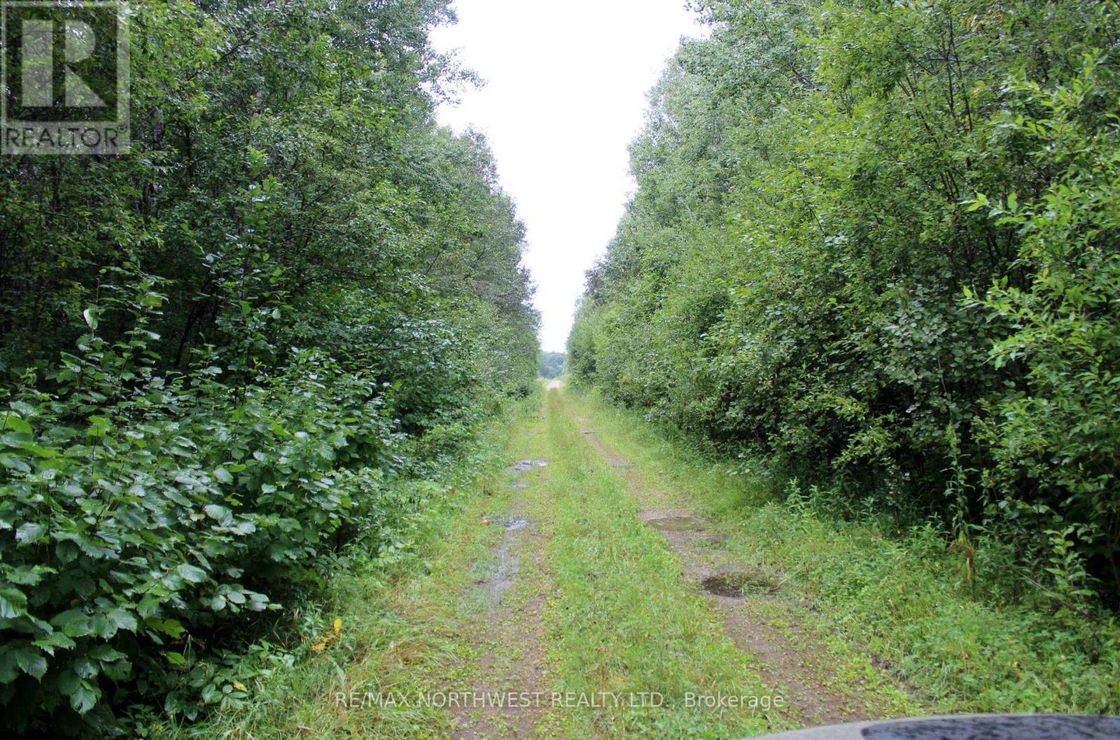 402 Andrews Rd, Morley, Ontario  P0W 1N0 - Photo 46 - X13706684