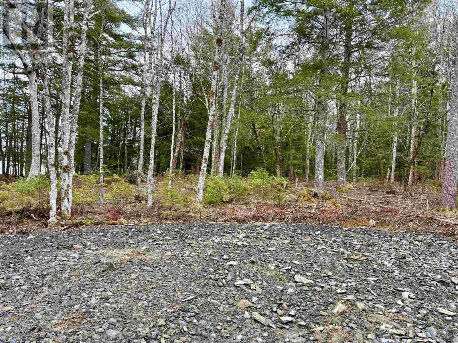 Lot 201 No 8 Highway, Milton, Nova Scotia  B0T 1K0 - Photo 7 - 202608581
