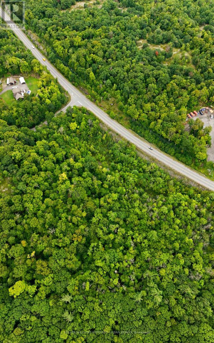 N/a N/a, Muskoka Lakes, Ontario  P0B 1J0 - Photo 15 - X13730654