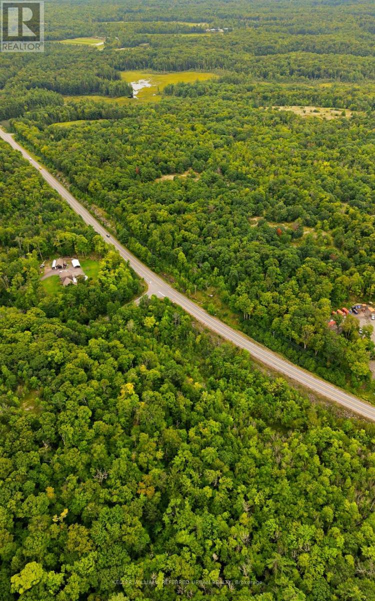 N/a N/a, Muskoka Lakes, Ontario  P0B 1J0 - Photo 16 - X13730654