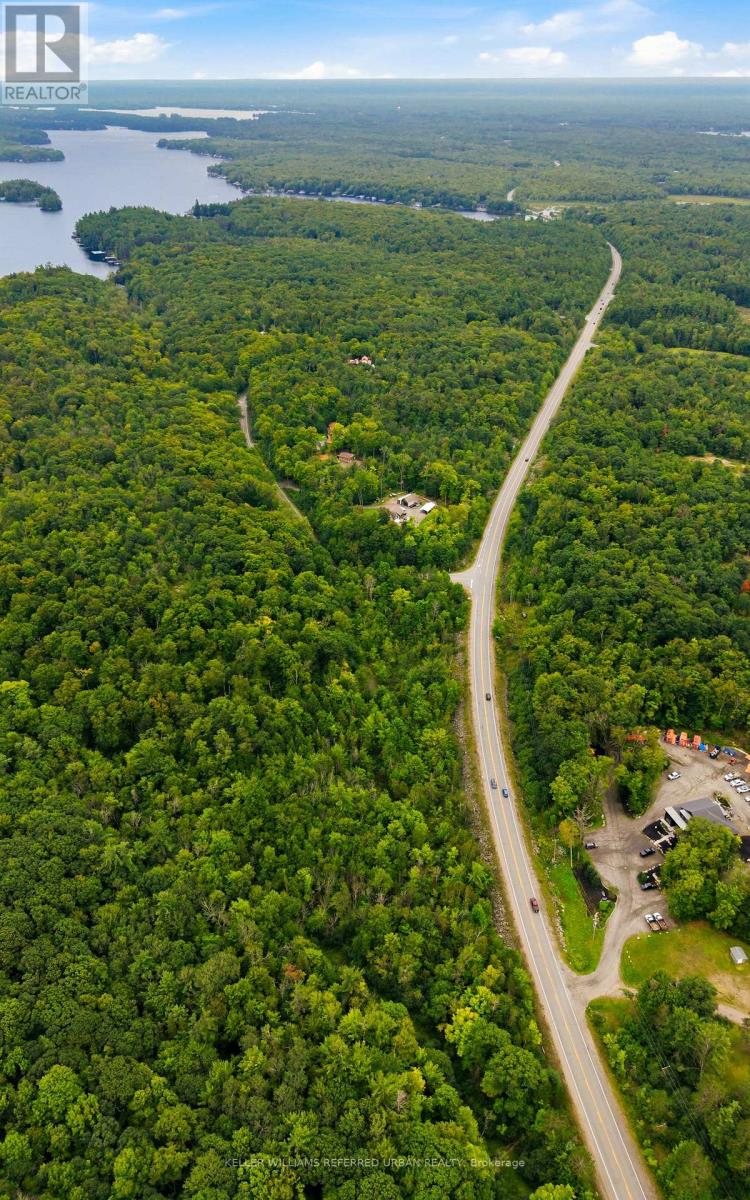 N/a N/a, Muskoka Lakes, Ontario  P0B 1J0 - Photo 19 - X13730654