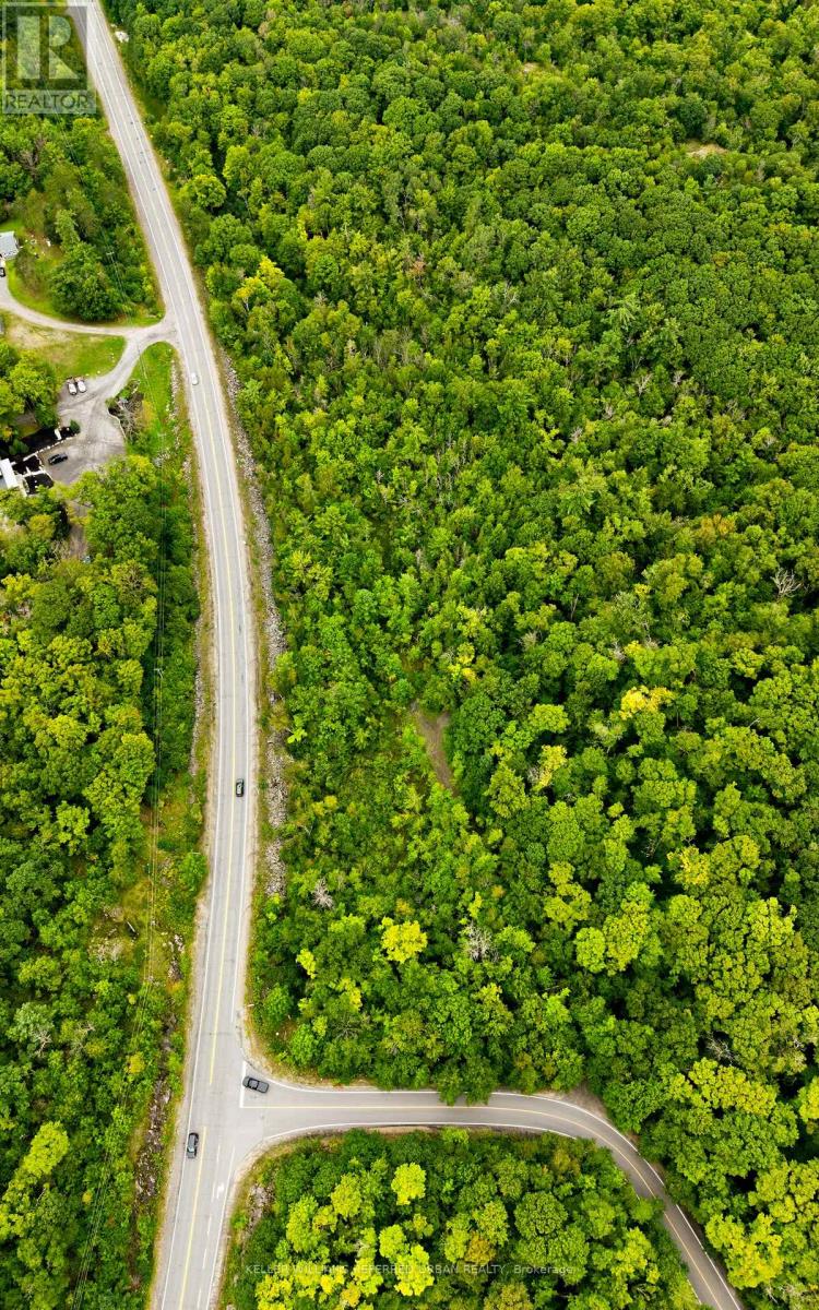 N/a N/a, Muskoka Lakes, Ontario  P0B 1J0 - Photo 5 - X13730654