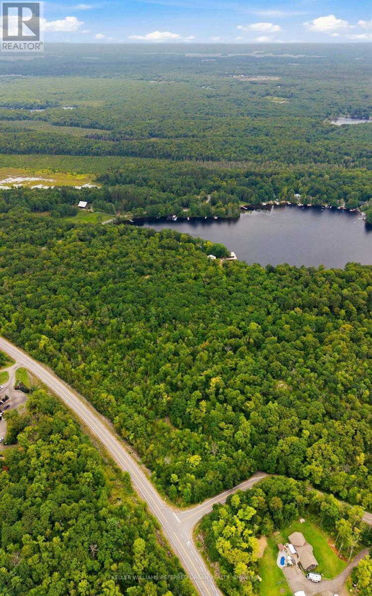 N/a N/a, Muskoka Lakes, Ontario  P0B 1J0 - Photo 6 - X13730654