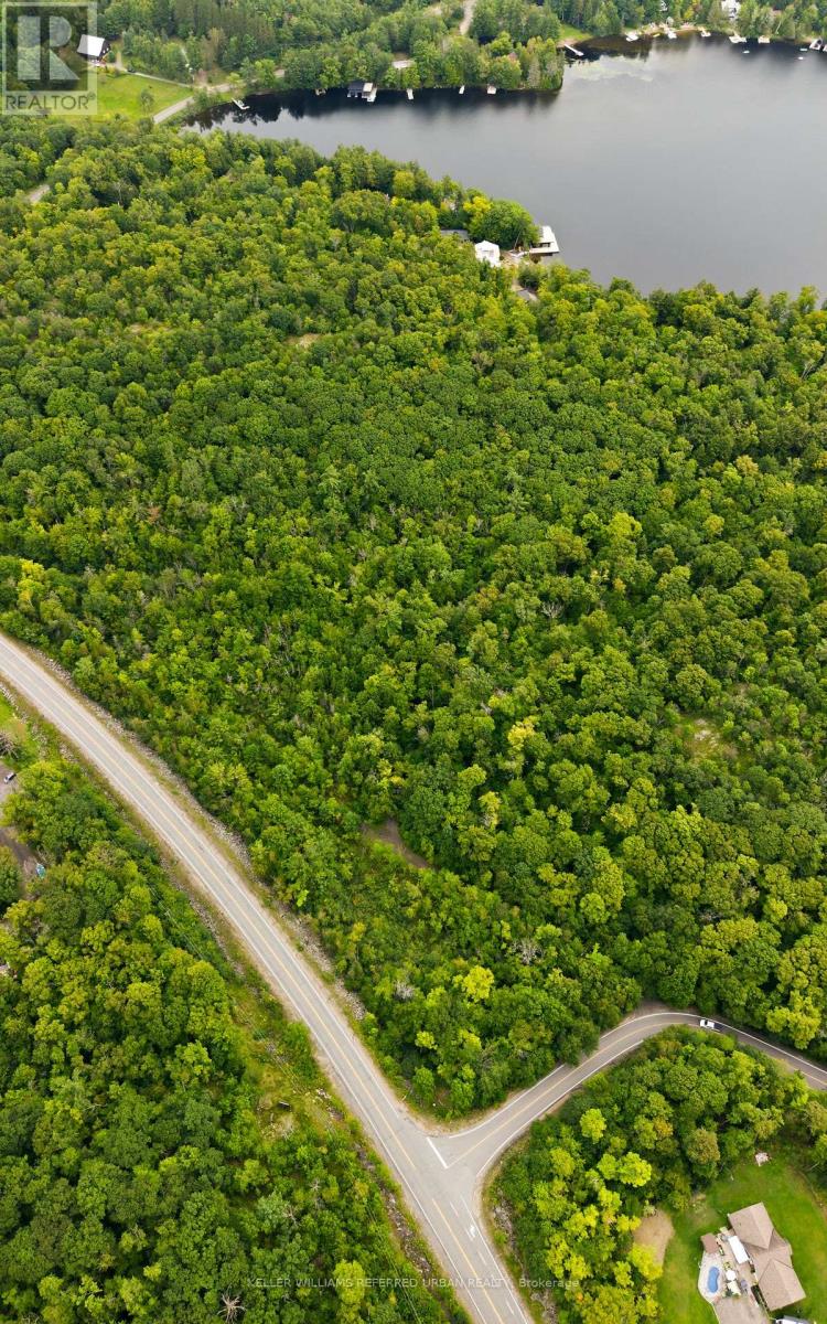N/a N/a, Muskoka Lakes, Ontario  P0B 1J0 - Photo 9 - X13730654