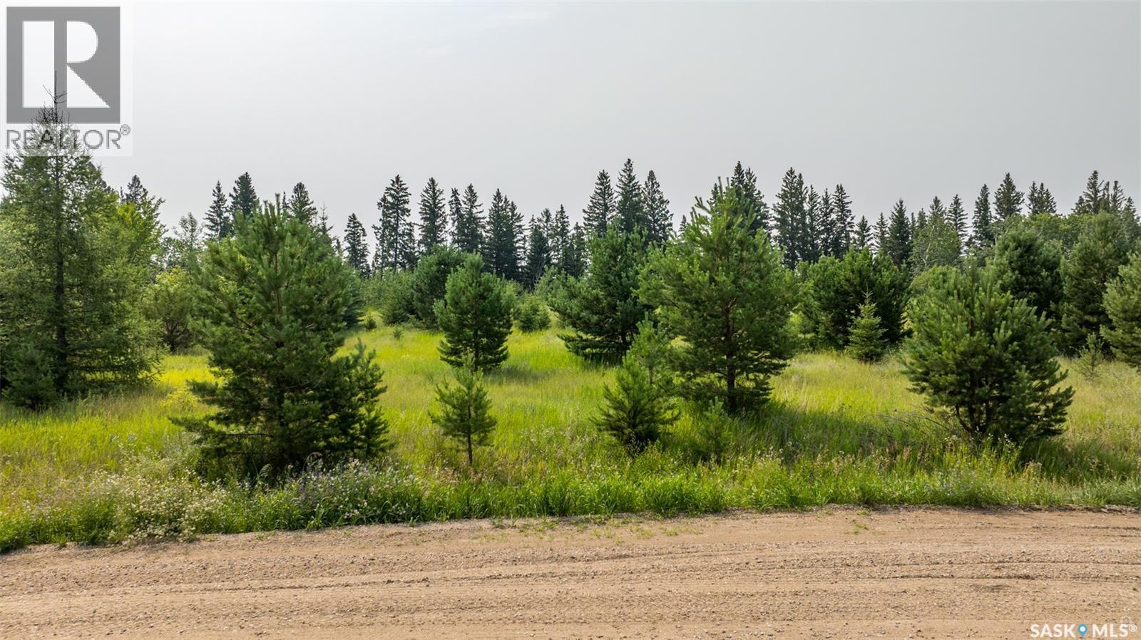 4 Lakeridge Estates, Buckland Rm No. 491, Saskatchewan  S6V 5R3 - Photo 6 - SK047114