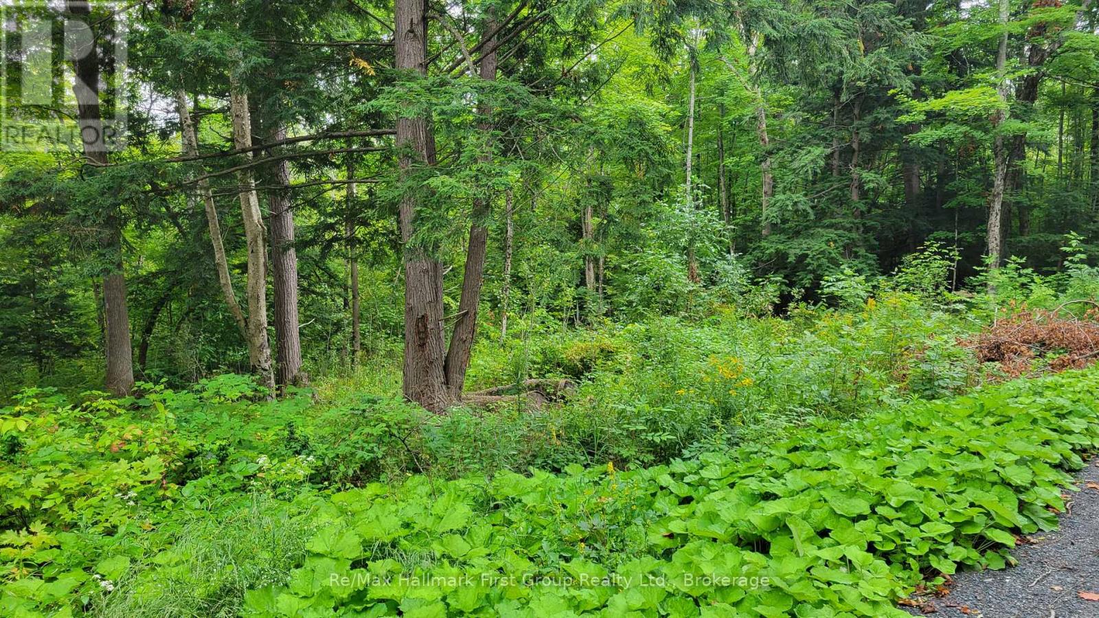 0 Black River Road N, Tweed, Ontario  K0K 3J0 - Photo 1 - X13731520