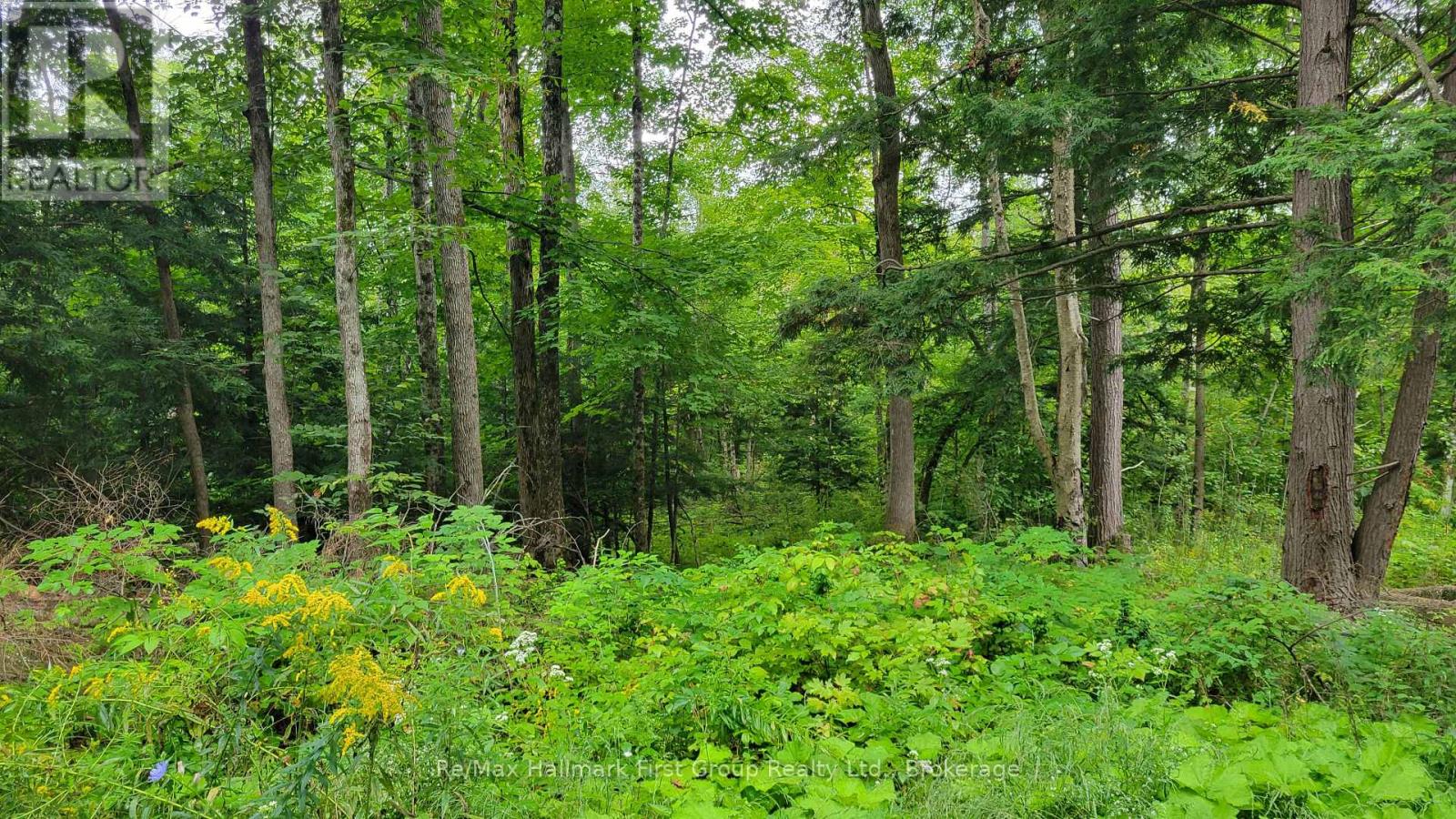 0 Black River Road N, Tweed, Ontario  K0K 3J0 - Photo 2 - X13731520