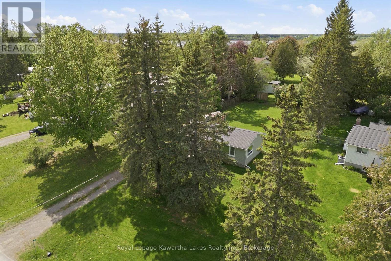 16 Marilyn Crescent, Kawartha Lakes, Ontario  K0L 1T0 - Photo 5 - X13731548