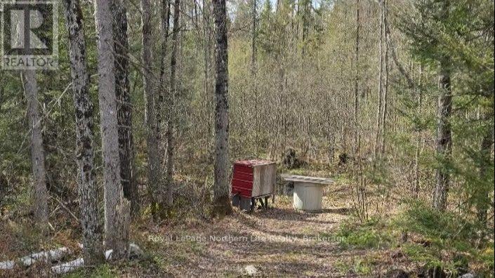Con B Pt Lot 14, Papineau-Cameron, Ontario  P0H 1V0 - Photo 15 - X13683828