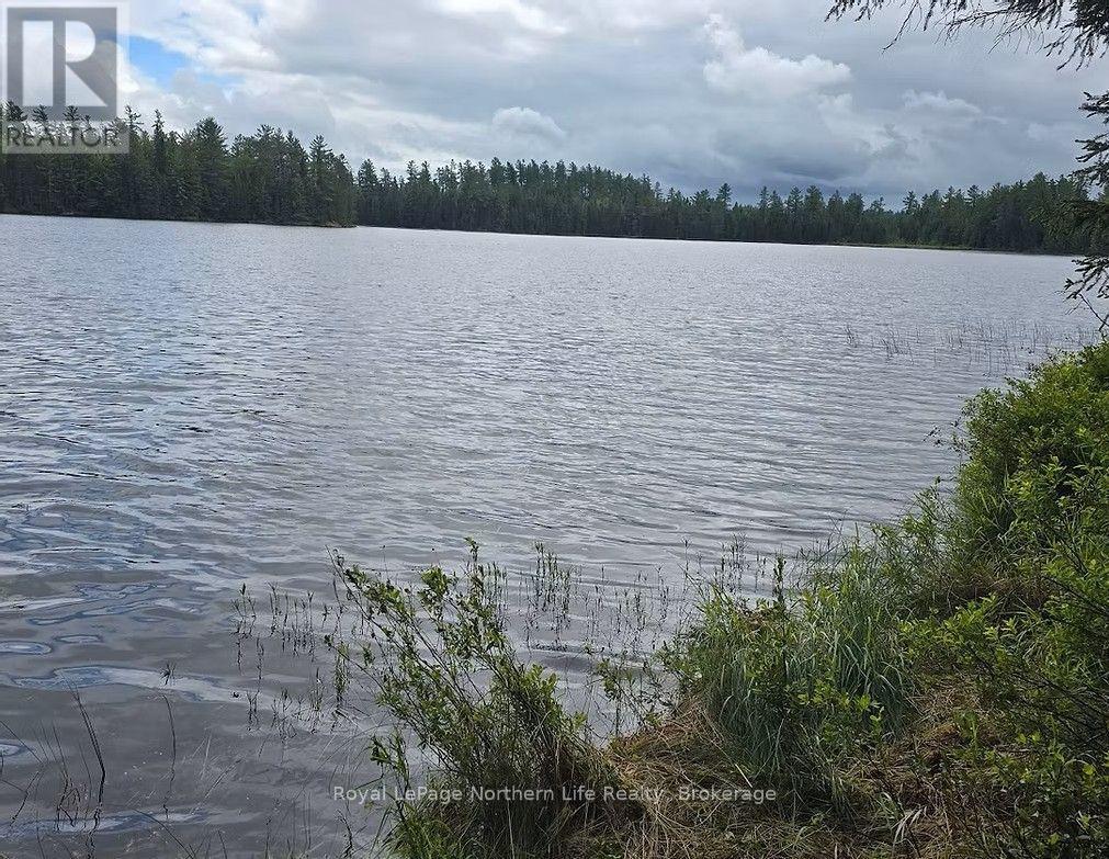 Con B Pt Lot 14, Papineau-Cameron, Ontario  P0H 1V0 - Photo 37 - X13683828