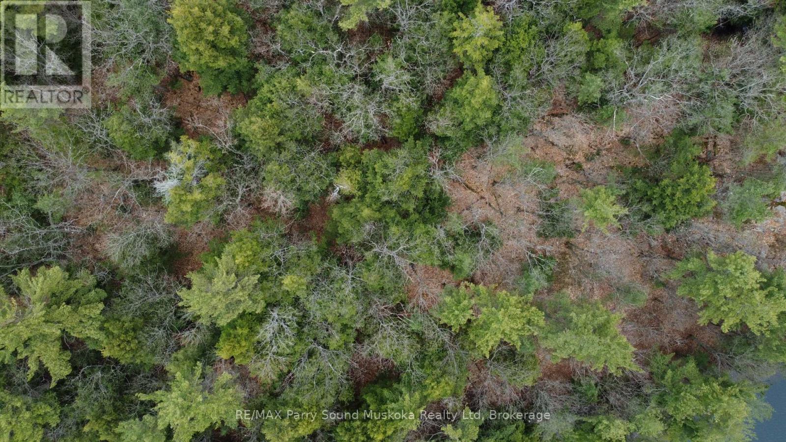 4 Wee Gee Wa Road, Seguin, Ontario P2A 0E8 - Photo 15 - X13731284