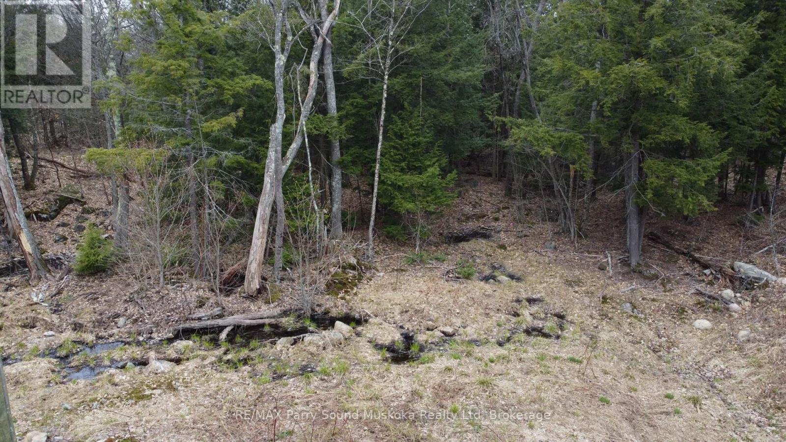 4 Wee Gee Wa Road, Seguin, Ontario P2A 0E8 - Photo 17 - X13731284