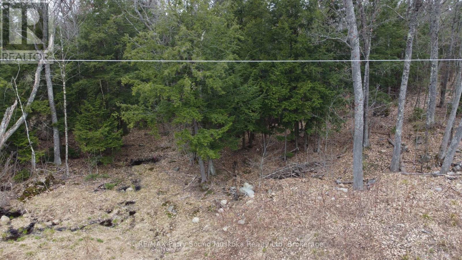 4 Wee Gee Wa Road, Seguin, Ontario P2A 0E8 - Photo 18 - X13731284