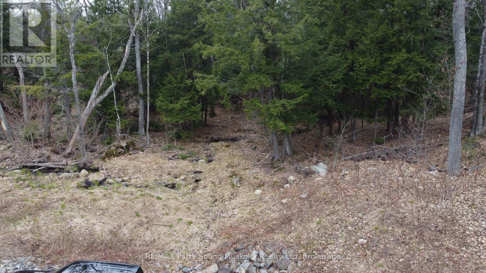 4 Wee Gee Wa Road, Seguin, Ontario P2A 0E8 - Photo 19 - X13731284