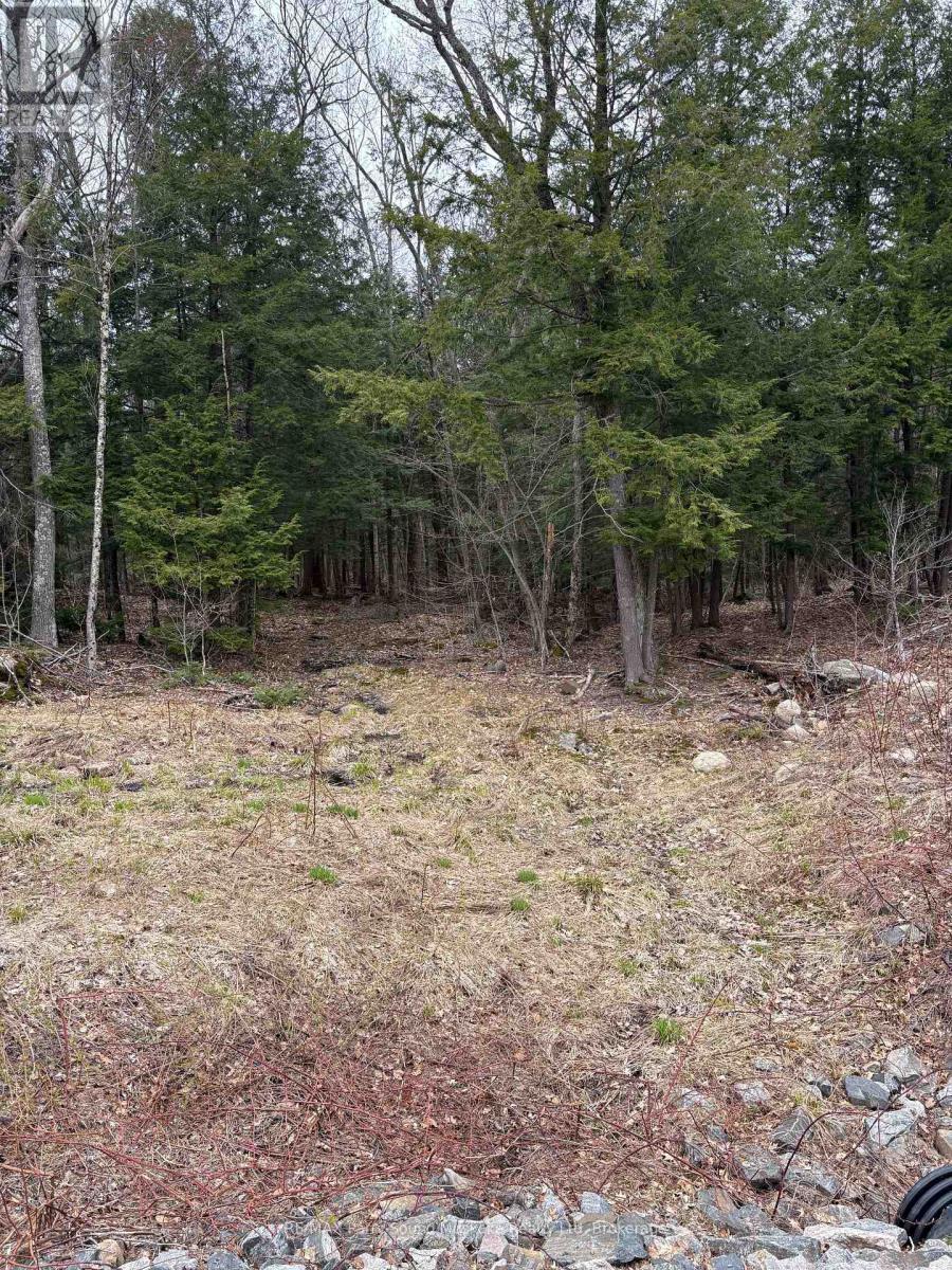 4 Wee Gee Wa Road, Seguin, Ontario P2A 0E8 - Photo 20 - X13731284