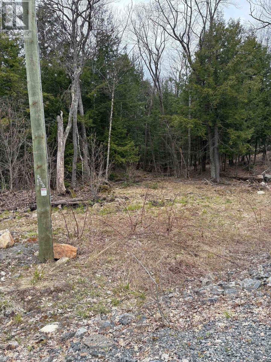 4 Wee Gee Wa Road, Seguin, Ontario P2A 0E8 - Photo 21 - X13731284