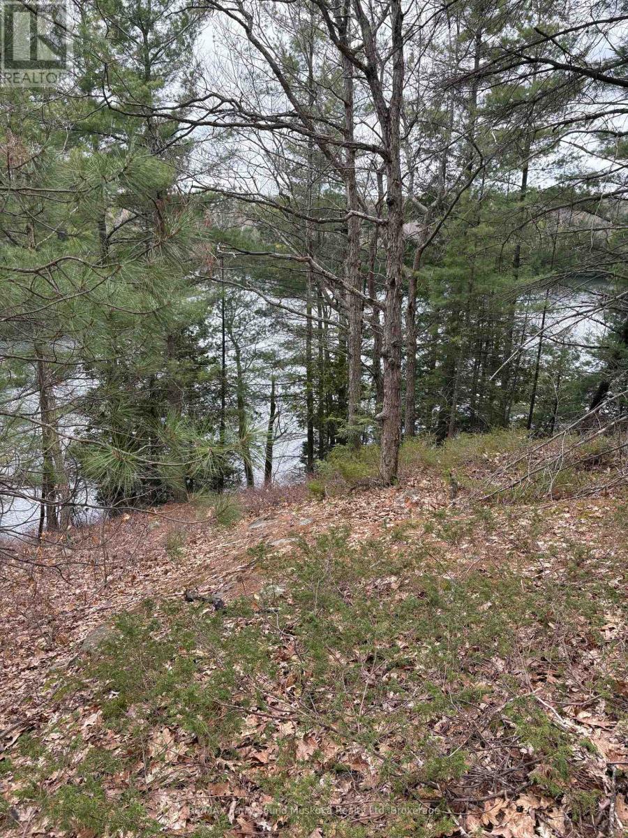 4 Wee Gee Wa Road, Seguin, Ontario P2A 0E8 - Photo 22 - X13731284