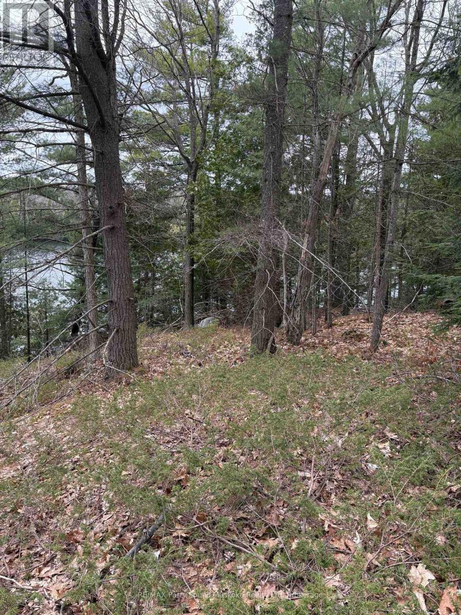 4 Wee Gee Wa Road, Seguin, Ontario P2A 0E8 - Photo 23 - X13731284