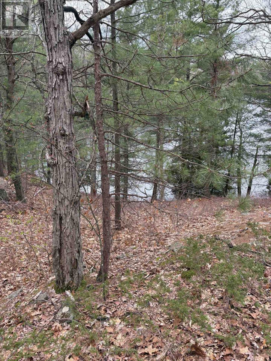 4 Wee Gee Wa Road, Seguin, Ontario P2A 0E8 - Photo 24 - X13731284