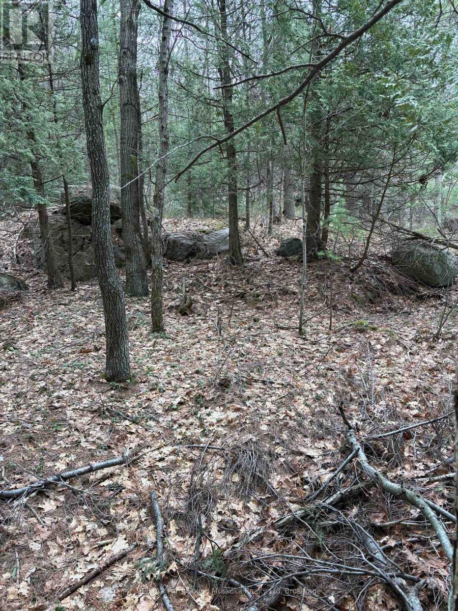 4 Wee Gee Wa Road, Seguin, Ontario P2A 0E8 - Photo 25 - X13731284
